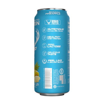 Lightly carbonated Protein soda-HighProtein, Zero sugar (4 cases /12 cans)